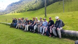 Valle del cocora