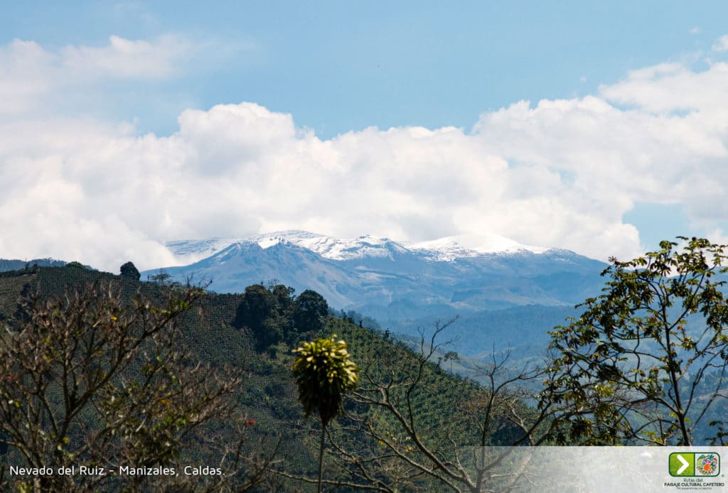 trekkin parque nevados