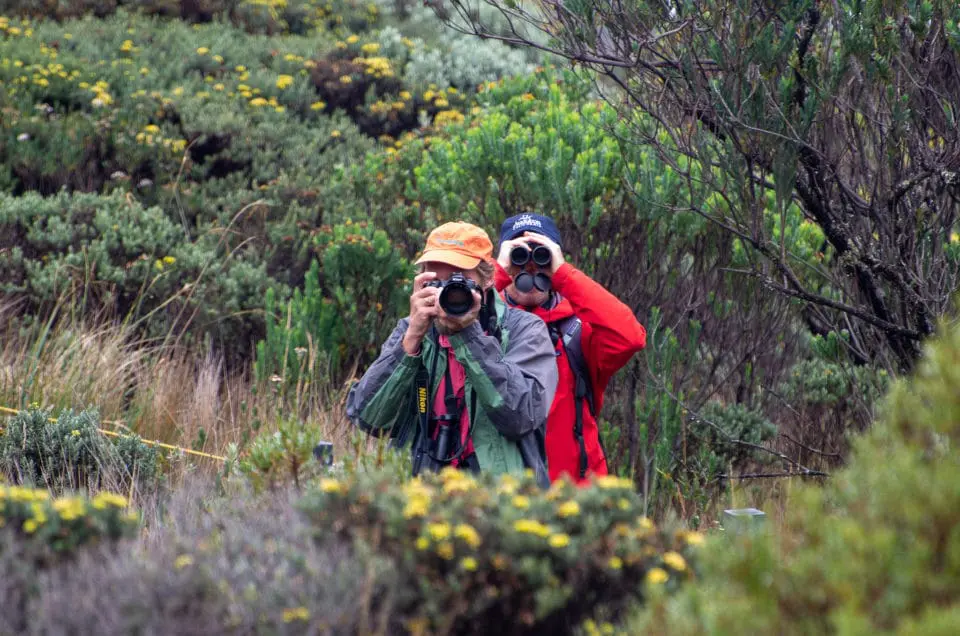 Birding in Colombia