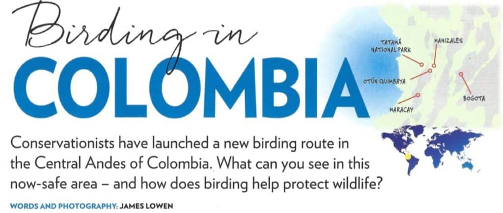 Birding in Colombia