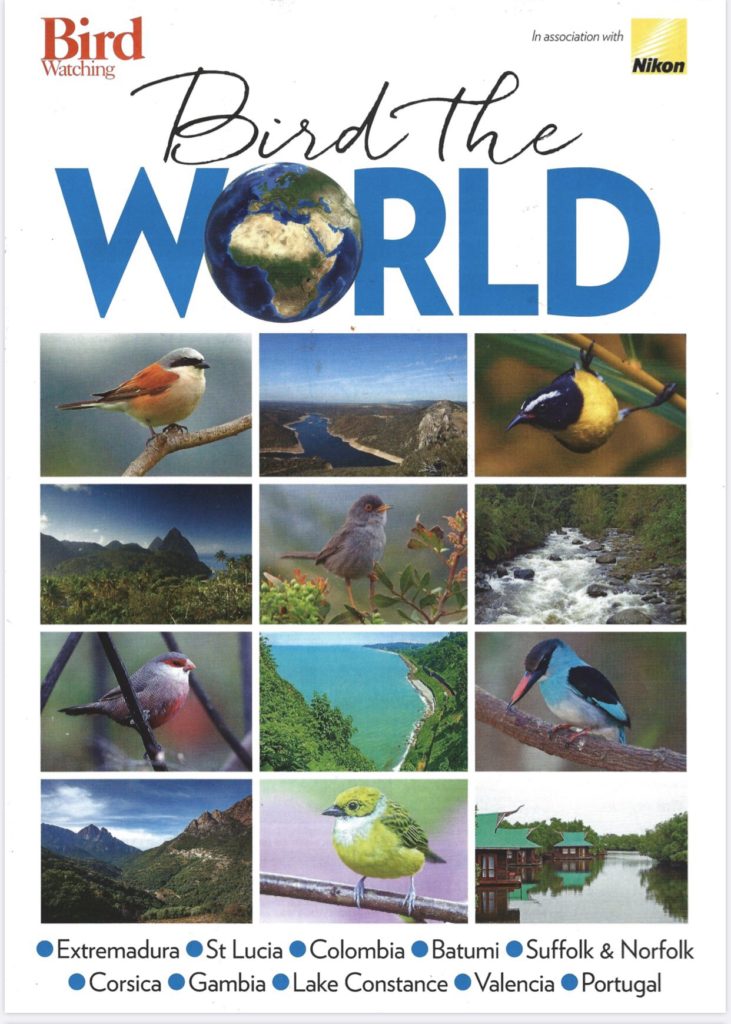 Birding the world