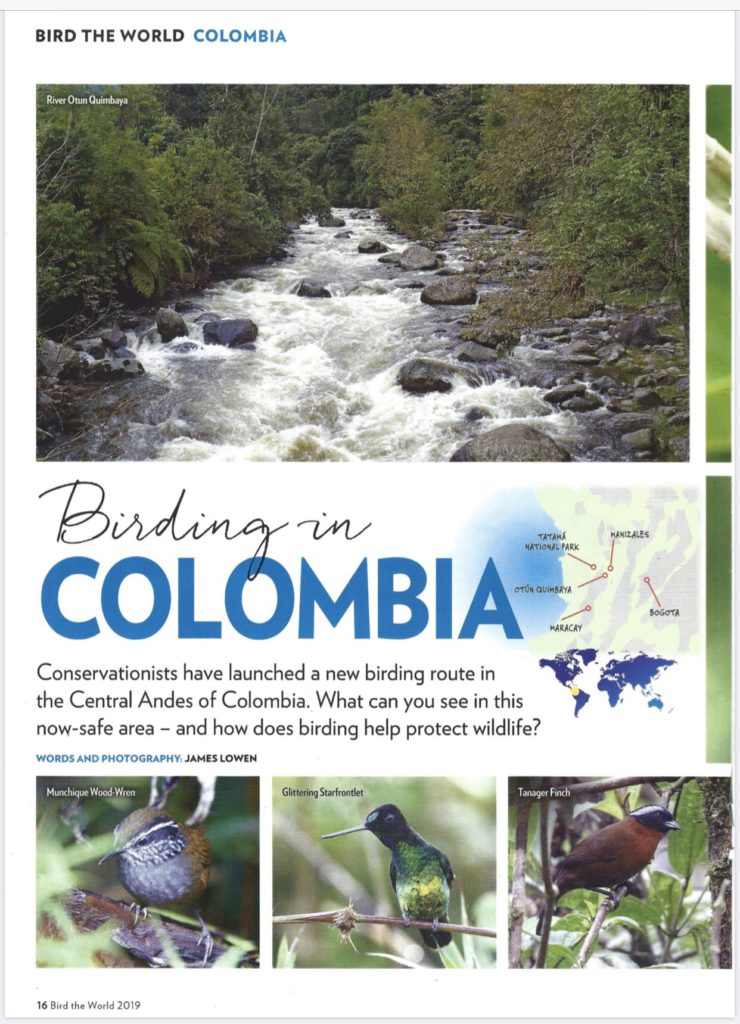 Birdng in Colombia