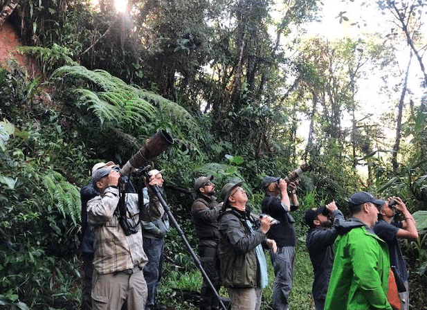 Birding in Colombia