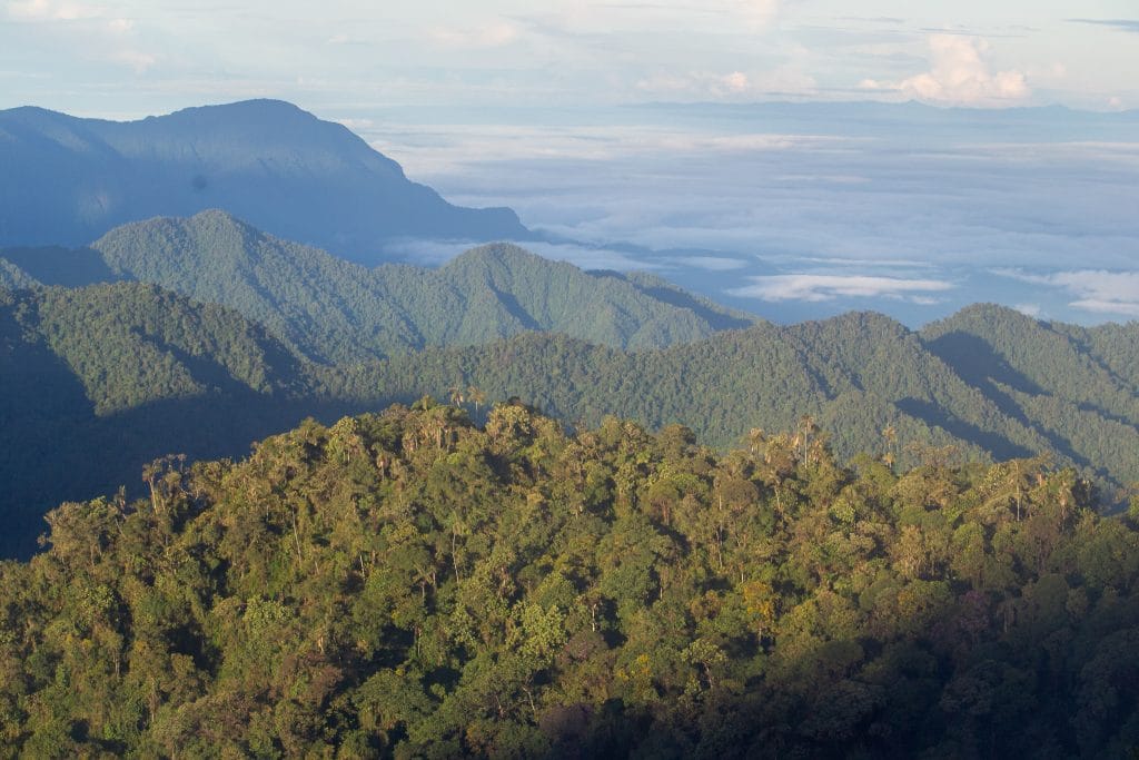 Cordillera Occidental